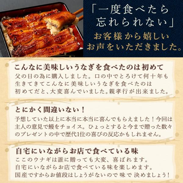 父の日 うなぎ 国産 ギフト 蒲焼き 鰻 2026 早割 海鮮 誕生日 プレゼント 冷凍 浜名湖 国産うなぎ ウナギ うなぎ蒲焼 お中元 御中元 5〜6人用 風呂敷_12