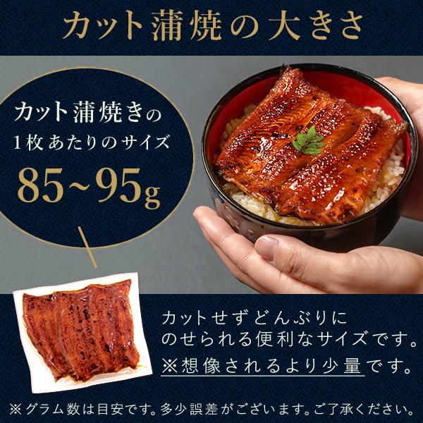 父の日 うなぎ 国産 ギフト 蒲焼き 鰻 2026 早割 海鮮 誕生日 プレゼント 冷凍 浜名湖 国産うなぎ ウナギ うなぎ蒲焼 お中元 御中元 5〜6人用 風呂敷_14