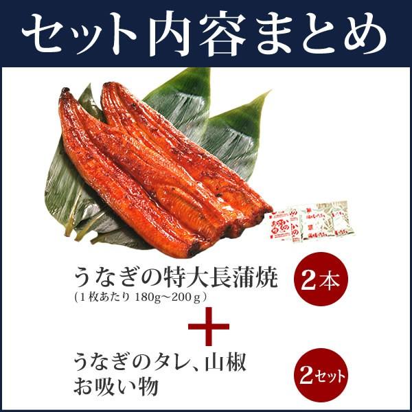 父の日 うなぎ 国産 早期 50代 60代 70代 80代 2024 プレゼント ギフト 食べ物 海鮮 早割 蒲焼き 浜名湖 誕生日 お祝い 内祝 お返し 鰻 風呂敷 2〜3人用｜eel-tanaka｜11