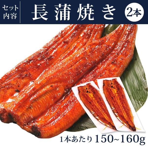 うなぎ 国産 ギフト お取り寄せグルメ 蒲焼き 送料無料 誕生日 お祝い 内祝 お返し ウナギ 鰻 長蒲焼2本 母の日 プレゼント 化粧箱 nagakaba01-2 2〜3人用 AA｜eel-tanaka｜10