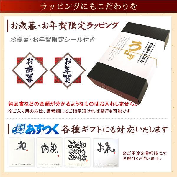 お年賀 ギフト 国産 うなぎ長蒲焼き 土用の丑の日 プレゼント 男性 海産物 お年賀 ギフト ウナギの蒲焼き中サイズ 110 1ｇ5本 鰻 Nagakaba02 5 浜名湖 うなぎのたなか 通販 Yahoo ショッピング