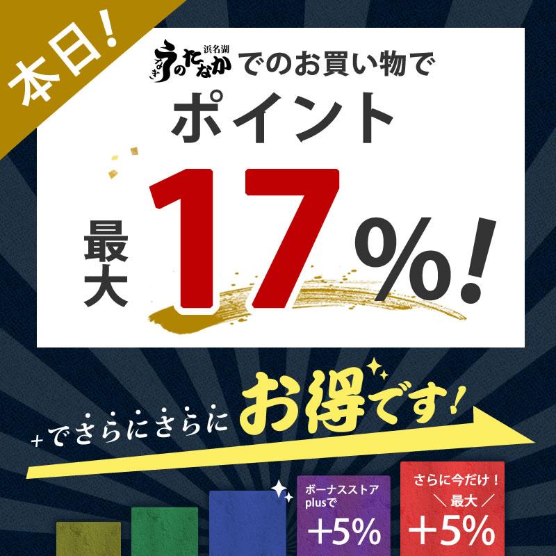 うなぎ 国産 蒲焼き 誕生日 プレゼント ギフト 鰻 浜名湖 自宅用 国産うなぎ うなぎ蒲焼 鰻の蒲焼 ウナギ 1〜2人用 敬老の日 2026 60代 70代 80代 | 浜名湖 うなぎのたなか | 02