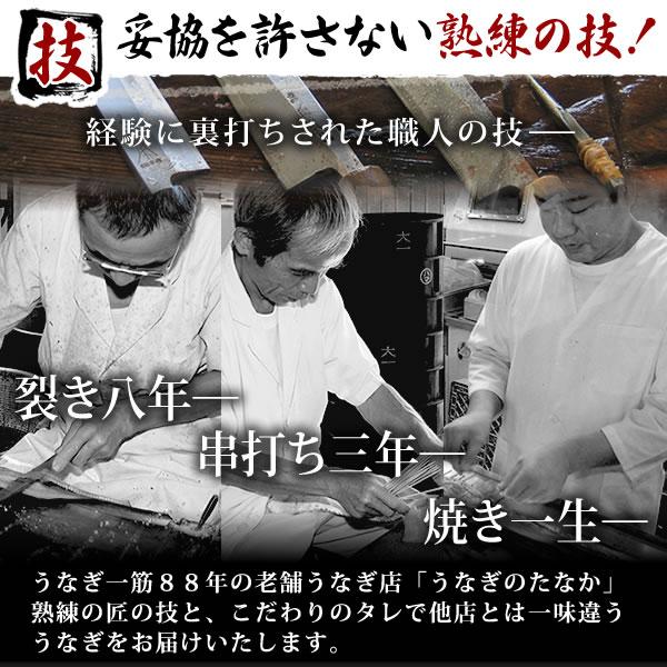 うなぎ 国産 蒲焼き 誕生日 プレゼント ギフト 鰻 浜名湖 自宅用 国産うなぎ うなぎ蒲焼 鰻の蒲焼 ウナギ 1〜2人用 敬老の日 2026 60代 70代 80代 | 浜名湖 うなぎのたなか | 07