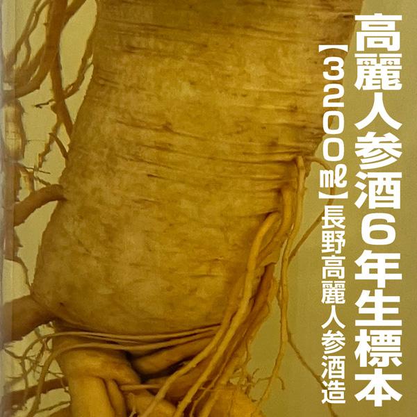 6年物根入り特上高麗人参酒 生標本（3200ml）常温発送 包装不可