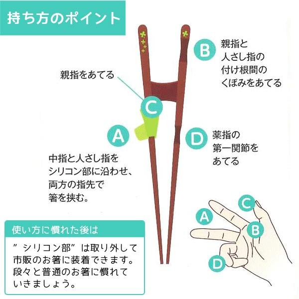 郵送で送料無料  矯正箸（トレーニング） きちんと箸・ちゃんと箸 （こども用・おとな用） 右利き・左利き 国産 若狭塗｜eemon01｜11