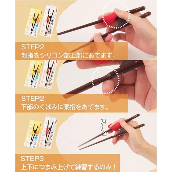 郵送で送料無料 矯正箸（トレーニング） きちんと箸・ちゃんと箸 （こども用・おとな用） 右利き・左利き 国産 若狭塗 |  | 12