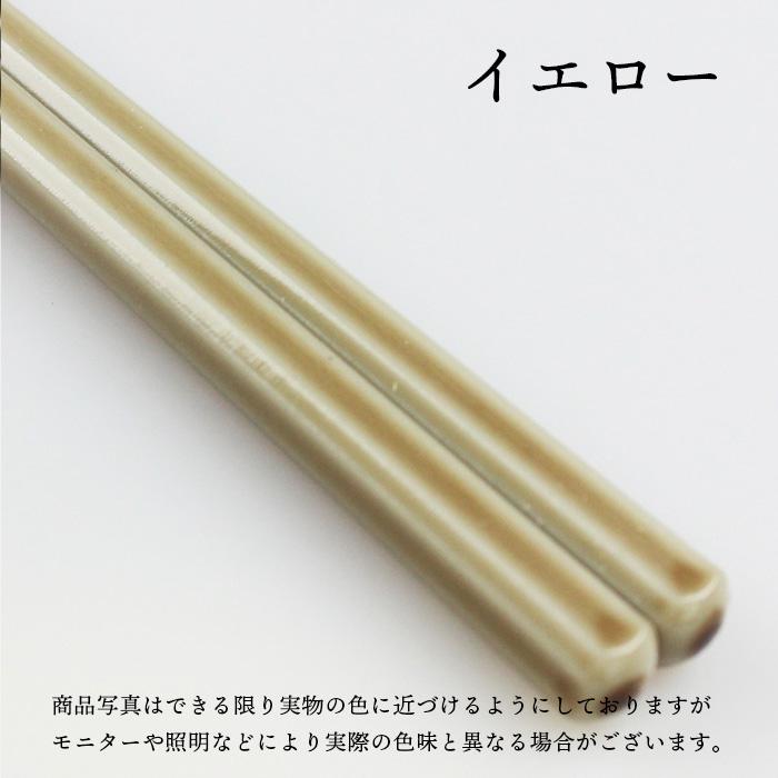 エコシリーズ お箸 EF ライン 23cm 選べる6色 エコ箸 地球にやさしいお
