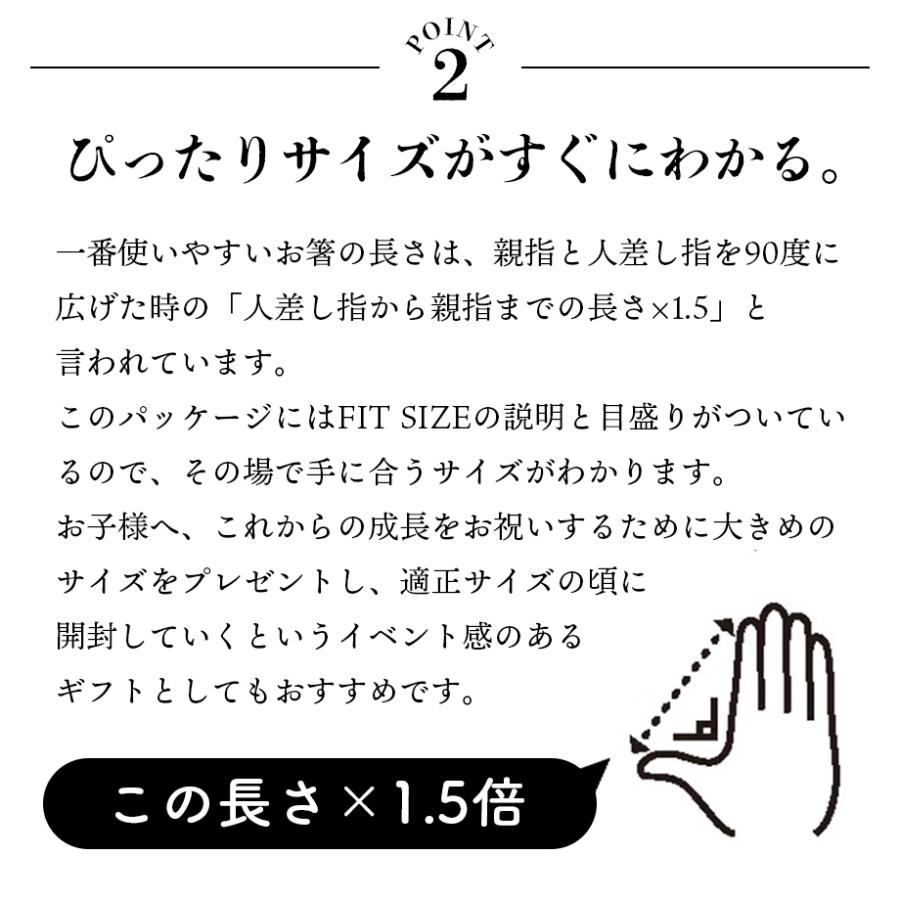 お箸 食洗機対応 FIT 手にぴったり合うおはし ブルー レッド 日本製 箸 2歳から 青 赤 大人 子供 男性 女性 キッズ 天然木 15cm 17cm 19cm 21cm 23cm 25cm |  | 04