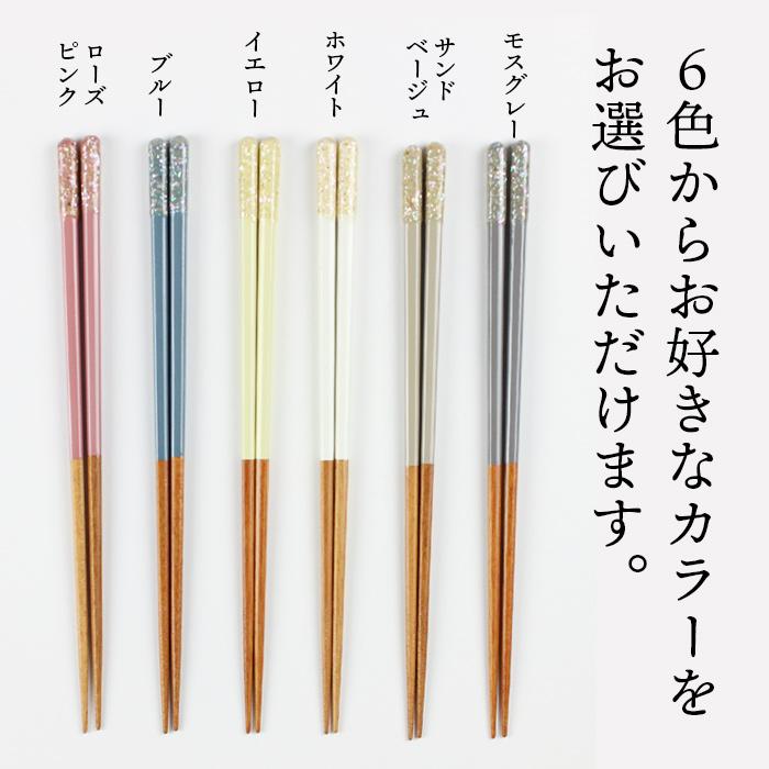 TAKUMI 郵送で送料無料 食洗機対応 抗菌箸 RADEN＋ 22.5cm 細箸 ブルー