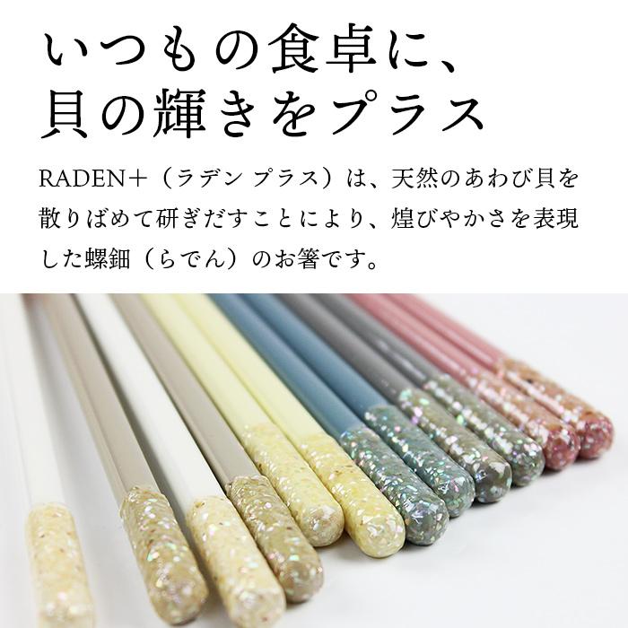 TAKUMI 郵送で送料無料 食洗機対応 抗菌箸 RADEN＋ 22.5cm 細箸 ブルー