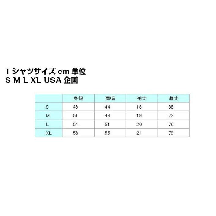 USA ミリタリーTシャツ 迷彩 ダンス レッド柄 メンズ ロスコ アメリカ直輸入 ROTHCO CAMO T-SHIRTS 米軍 レプリカ仕様 | ROTHCO | 04