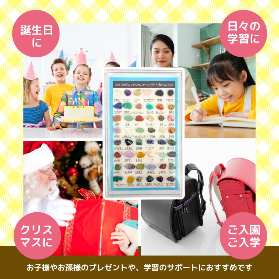天然 岩石 鉱物 宝石 標本 鉱石 セット 図鑑 研究 自由研究 宿題 勉強