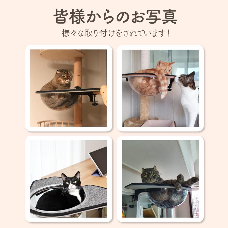 猫 ベッド ハンモック キャットカプセル 吸盤 猫用ベッド ねこ ネコ 吸盤型 スケルトン 半球 透明 キャットタワー ラウンド ボウル 工具不要 洗える 耐荷重15kg |  | 12