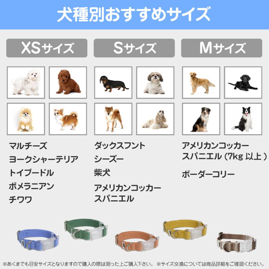 犬 首輪 おしゃれ かわいい 軽い 犬用 小型犬 中型犬 散歩 犬用 痛くない パステル メール便送料無料 GLOPET |  | 07
