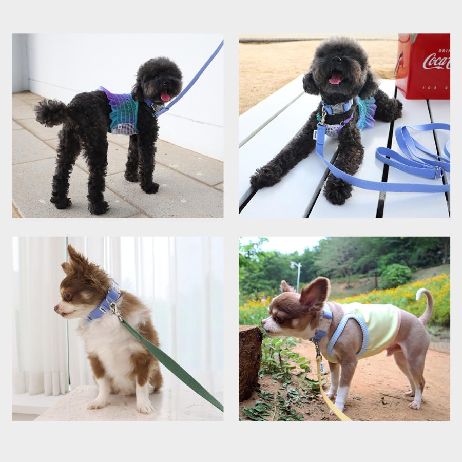 犬 首輪 おしゃれ かわいい 軽い 犬用 小型犬 中型犬 散歩 犬用 痛くない パステル メール便送料無料 GLOPET |  | 09