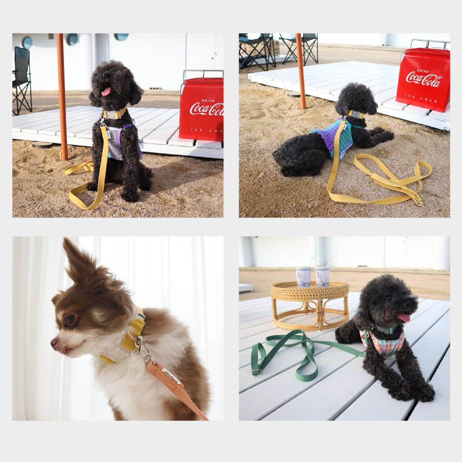 犬 首輪 おしゃれ かわいい 軽い 犬用 小型犬 中型犬 散歩 犬用 痛くない パステル メール便送料無料 GLOPET |  | 10