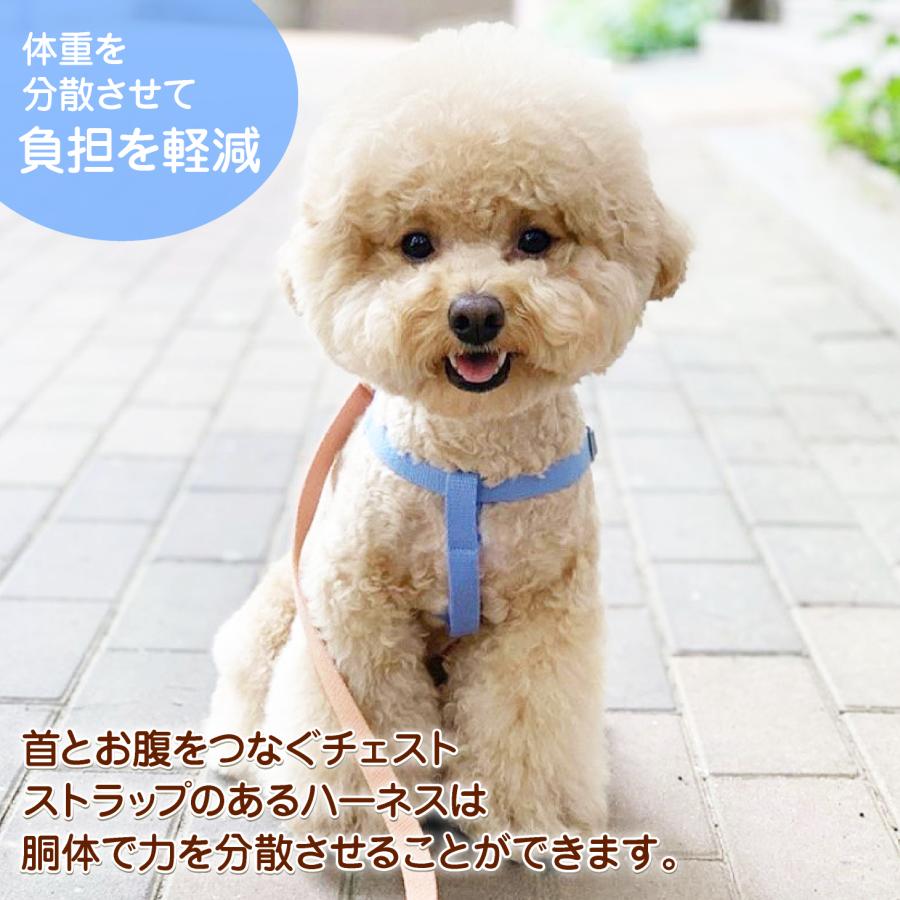 犬 ハーネス 軽い おしゃれ かわいい 着けやすい 簡単装着 超小型犬 小型犬 脱げない 負担が少ない 迷子防止 洗える 擦れない 散歩 GLOPET ソフトY型ハーネス |  | 08