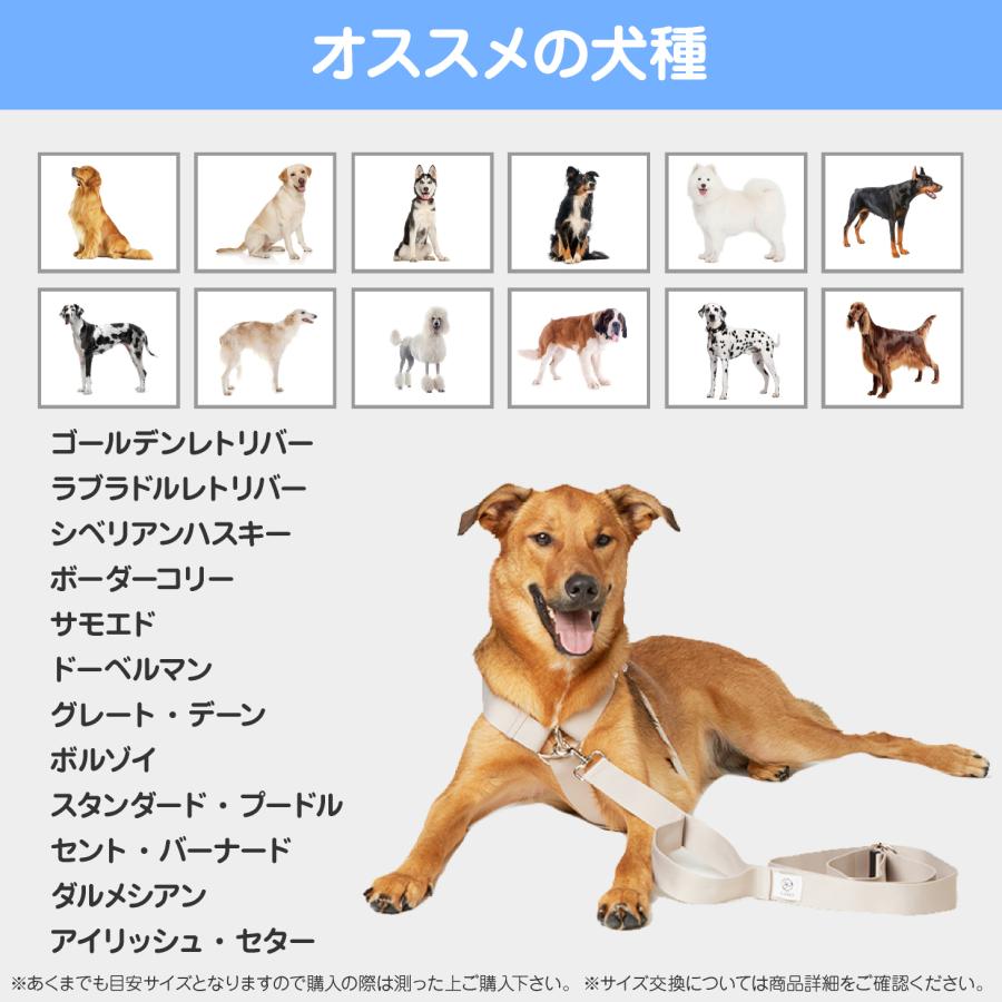 GLOPET 大型犬用マルチリード |  | 07