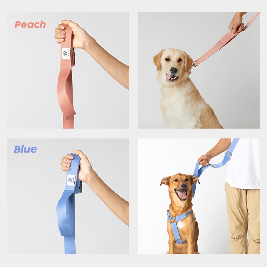 GLOPET 大型犬用マルチリード : EFGショップYahoo!店 - 通販