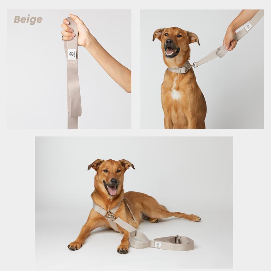 GLOPET 大型犬用マルチリード : EFGショップYahoo!店 - 通販