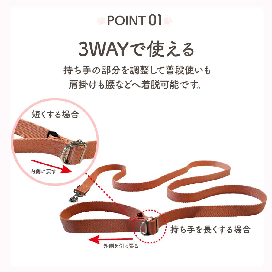 GLOPET 3WAY柔らかマルチリード |  | 06