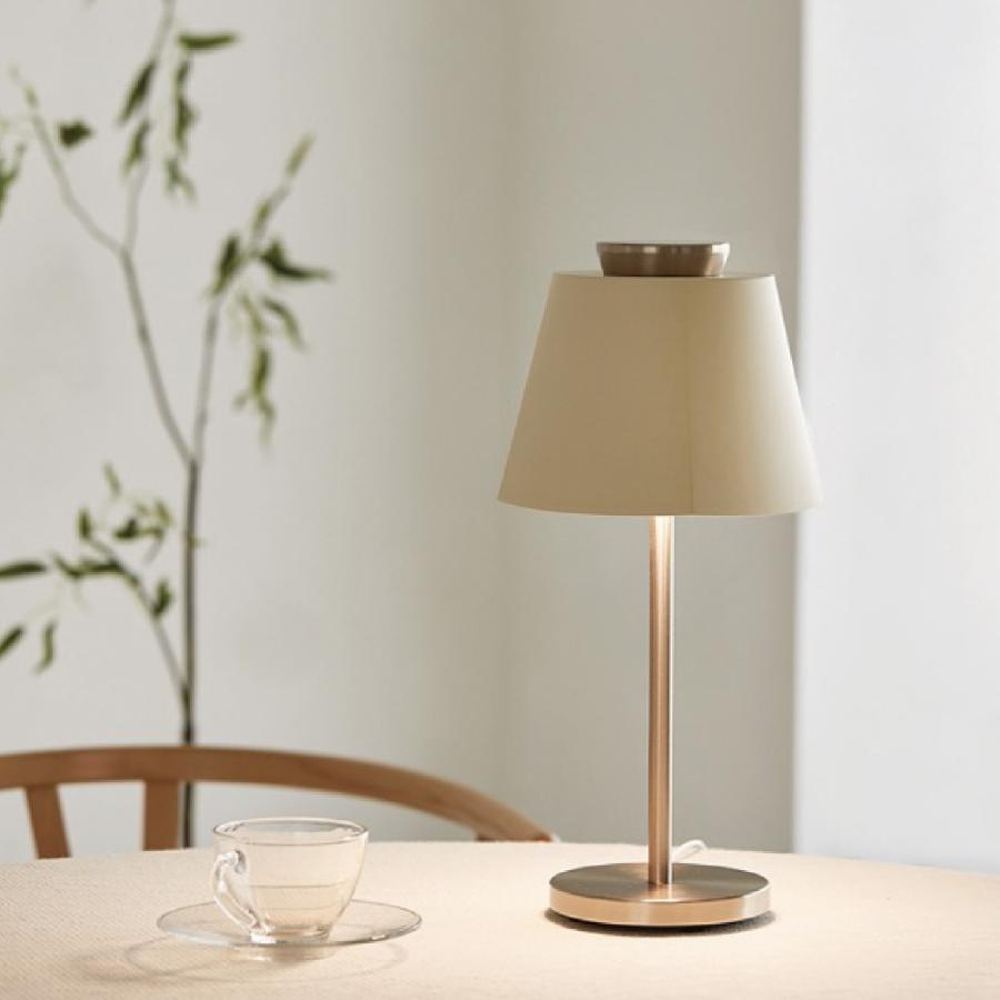 北欧風 韓国 デザイナーズ 高級 LEDスタンドライト おしゃれ 明るさ