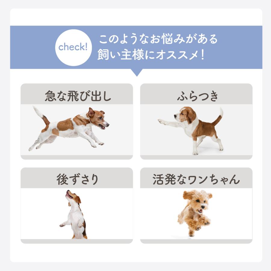 ハーネス 犬 超小型犬 小型犬 中型犬 犬用 抜けない 抜けにくい 脱げない 脱げにくい 負担が少ない 犬具 胴輪 散歩 お出かけ 簡単装着 簡単着脱 おしゃれ |  | 06