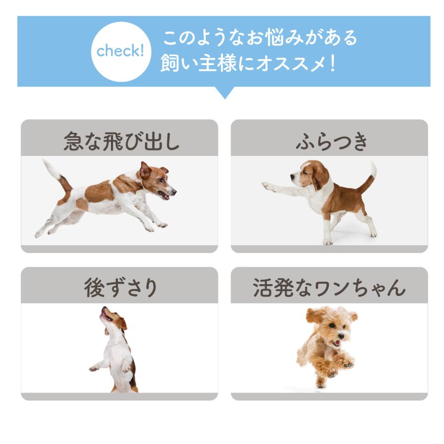 LED 光る ハーネス 犬 超小型犬 小型犬 中型犬 犬用 夜 道 夜間 雨 雨天 使用可能 耐水性 防水 耐久性 水洗い 抜けない 抜けにくい 脱げない |  | 11