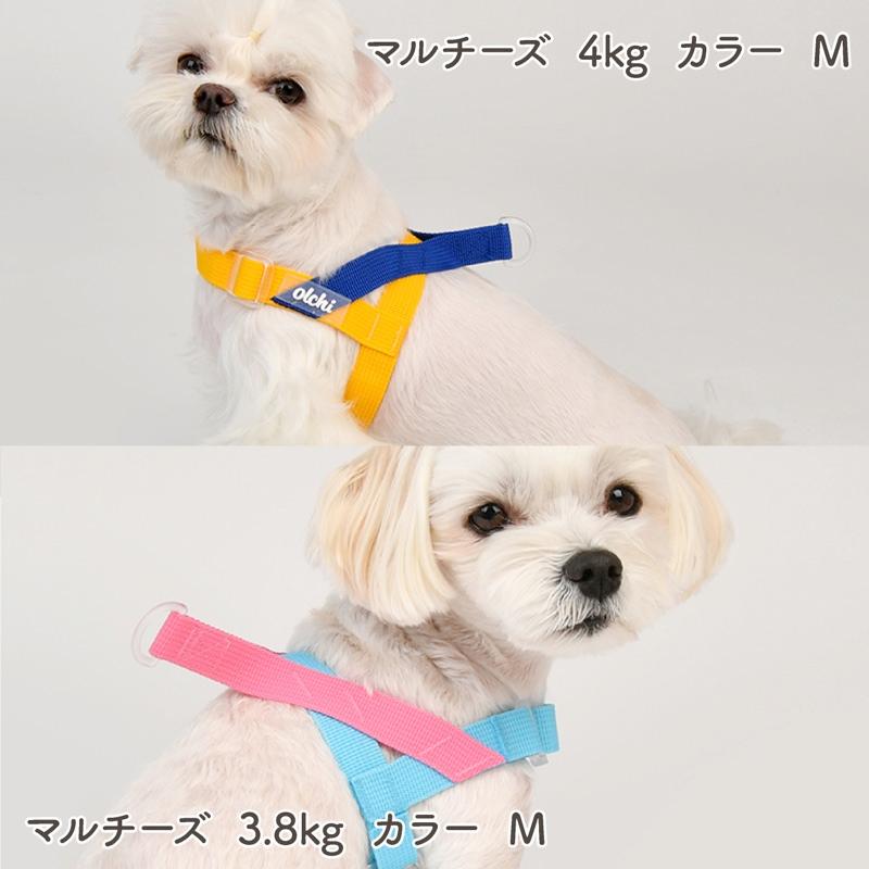 ハーネス 犬 小型犬 中型犬 大型犬 犬用 抜けない 抜けにくい 脱げない 脱げにくい 負担が少ない 犬具 胴輪 散歩 お出かけ 簡単装着 簡単着脱 おしゃれ |  | 13