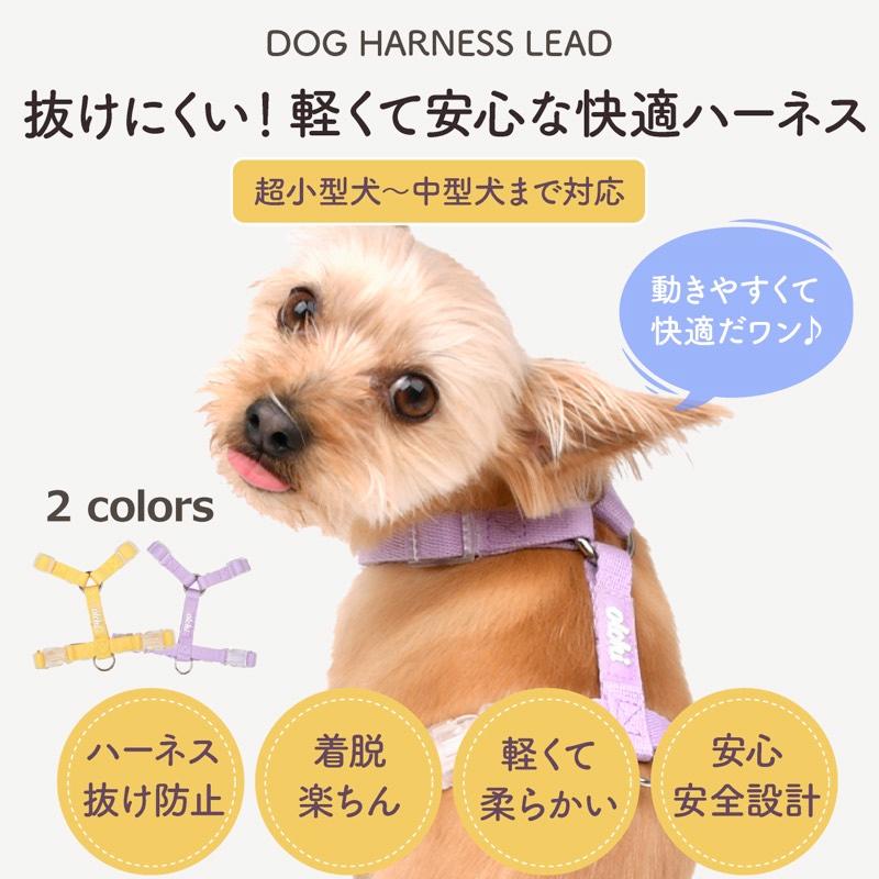 いちいぬ様確認用 PETTENA Select 犬用快適リード付き首輪セット（1.2m）