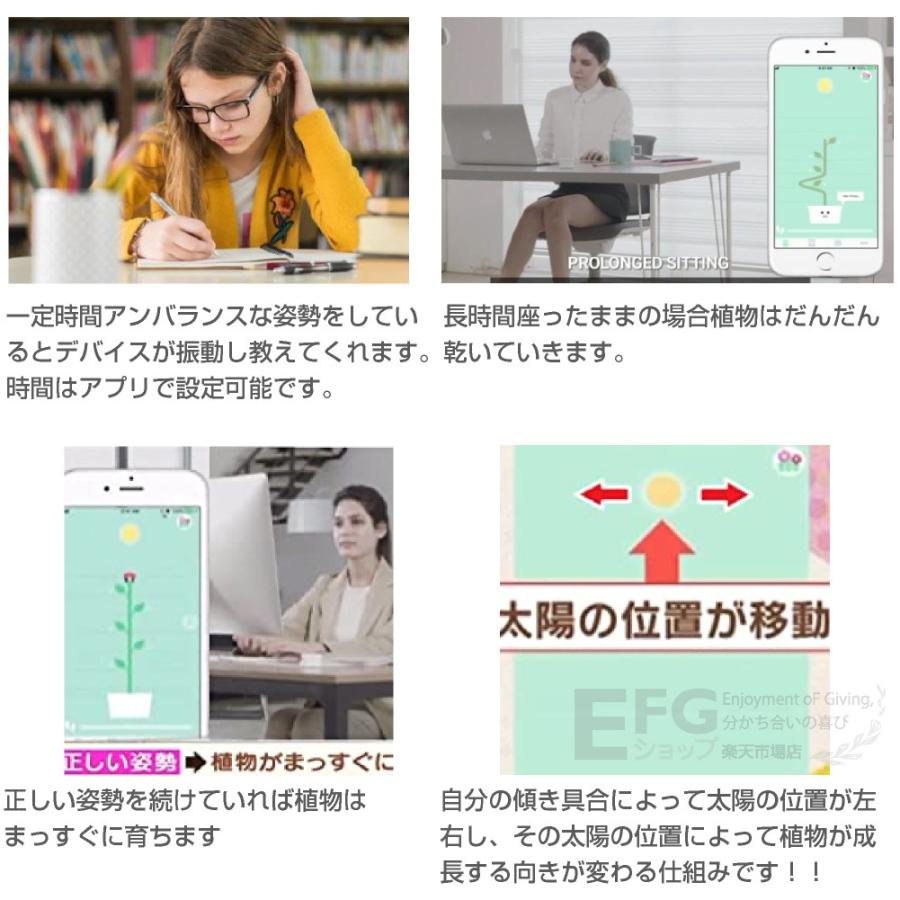 体を整体する究極の方法 正しい姿勢を取る習慣を作ってくれるreseed Re 01 Efgショップyahoo 店 通販 Yahoo ショッピング