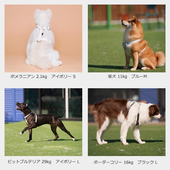 犬 ハーネス 胴輪 おしゃれ 小型犬 抜けにくい 負担が少ない 簡単装着 迷子防止 中型犬 ブランド シンプル SPLOOT Hラインハーネス パステル |  | 14