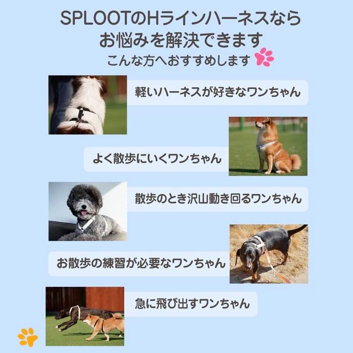 犬 ハーネス 胴輪 おしゃれ 小型犬 抜けにくい 負担が少ない 簡単装着 迷子防止 中型犬 ブランド シンプル SPLOOT Hラインハーネス パステル |  | 05