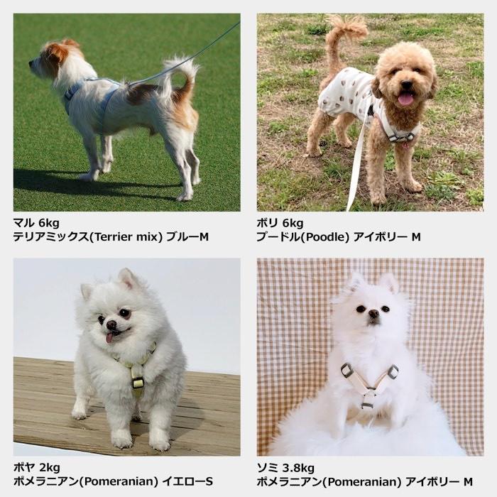 犬 ハーネス 胴輪 おしゃれ 小型犬 抜けにくい 負担が少ない 簡単装着 迷子防止 軽い 中型犬 ブランド シンプル SPLOOT Hラインハーネス グレー |  | 14