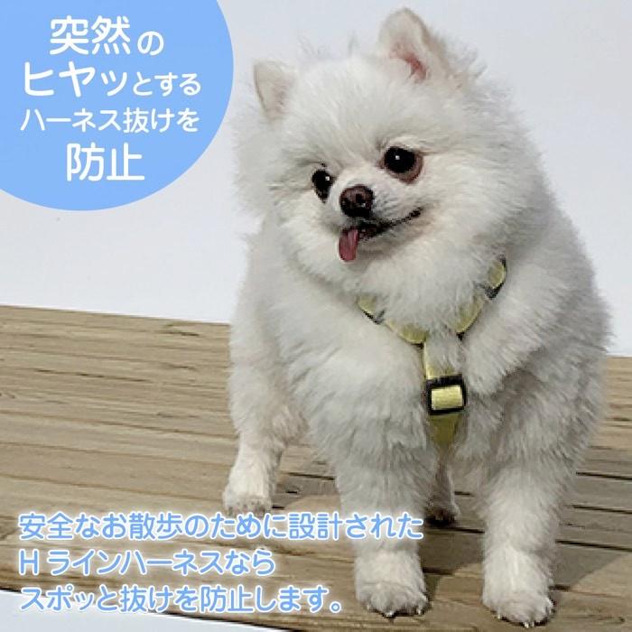 犬 ハーネス 胴輪 おしゃれ 小型犬 抜けにくい 負担が少ない 簡単装着 迷子防止 軽い 中型犬 ブランド シンプル SPLOOT Hラインハーネス グレー |  | 06