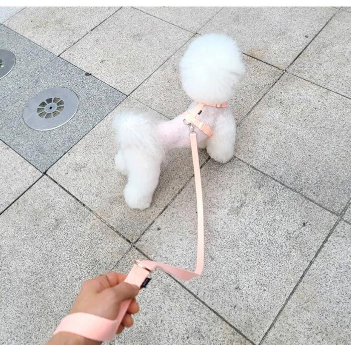 犬 小型犬 中型犬 大型犬 犬用 ハーネス 犬具 胴輪 散歩 お出かけ 簡単装着  パステル  ベーシックハーネス スタンダードタイプ/SPLOOT 1.5mリード パステル |  | 10