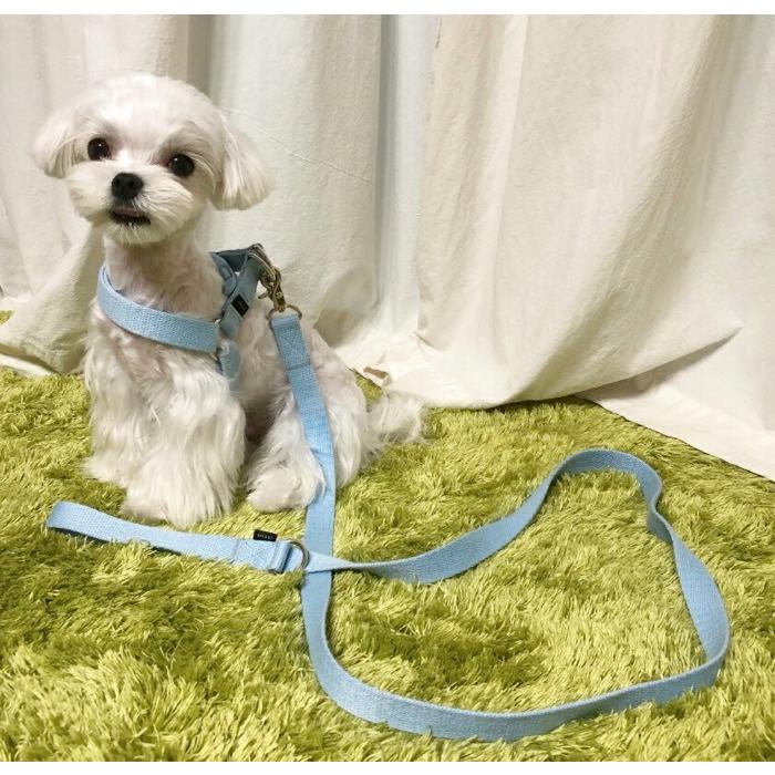 犬 小型犬 中型犬 大型犬 犬用 ハーネス 犬具 胴輪 散歩 お出かけ 簡単装着  パステル  ベーシックハーネス スタンダードタイプ/SPLOOT 1.5mリード パステル |  | 11