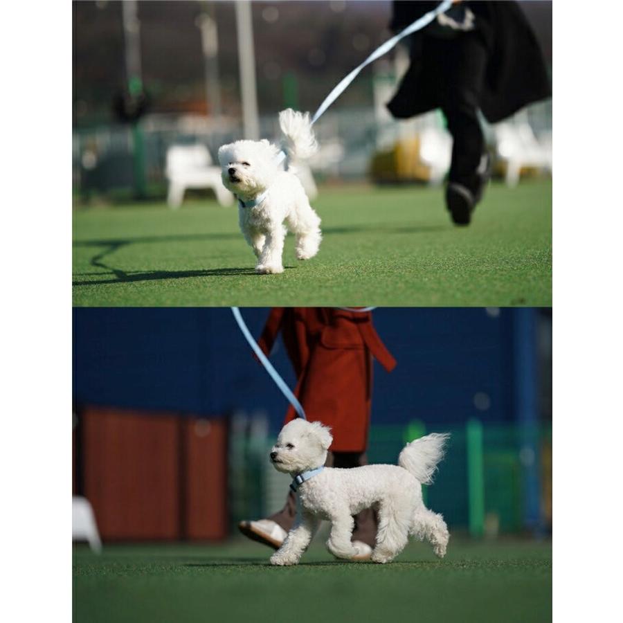 犬 小型犬 中型犬 大型犬 犬用 ハーネス 犬具 胴輪 散歩 お出かけ 簡単装着  パステル  ベーシックハーネス スタンダードタイプ/SPLOOT 1.5mリード グレー |  | 10