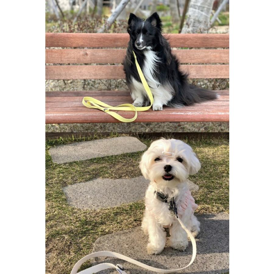 犬 小型犬 中型犬 大型犬 犬用 ハーネス 犬具 胴輪 散歩 お出かけ 簡単装着  パステル  ベーシックハーネス スタンダードタイプ/SPLOOT 1.5mリード グレー |  | 11