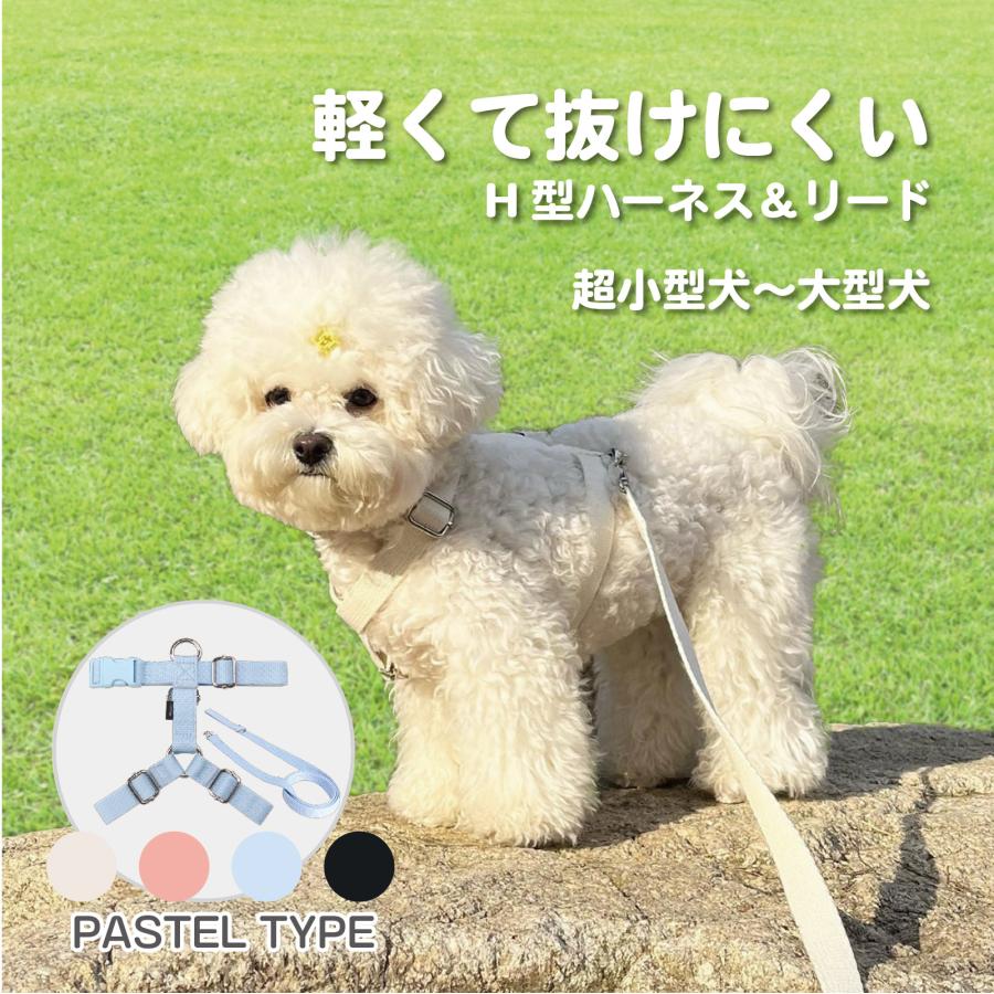 犬 ハーネス 小型犬 抜けにくい 負担が少ない 擦れない おしゃれ かわいい パステル カラフル/SPLOOT Hラインハーネス＆1.5mリードセット パステル | 
