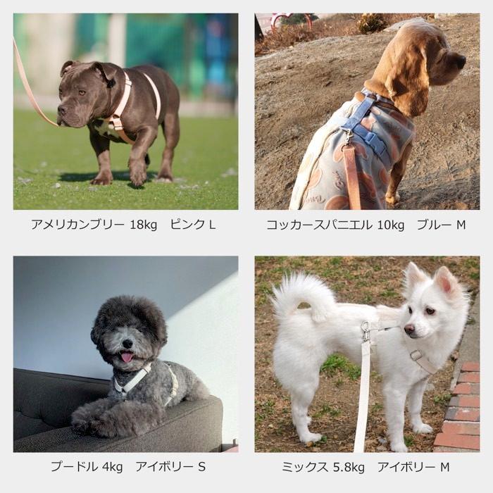 犬 ハーネス 小型犬 抜けにくい 負担が少ない 擦れない おしゃれ かわいい パステル カラフル/SPLOOT Hラインハーネス＆1.5mリードセット パステル |  | 12