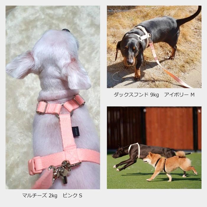 犬 ハーネス 小型犬 抜けにくい 負担が少ない 擦れない おしゃれ かわいい パステル カラフル/SPLOOT Hラインハーネス＆1.5mリードセット パステル |  | 13
