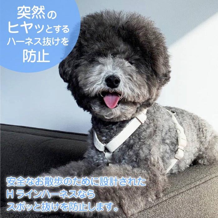 犬 ハーネス 小型犬 抜けにくい 負担が少ない 擦れない おしゃれ かわいい パステル カラフル/SPLOOT Hラインハーネス＆1.5mリードセット パステル |  | 04