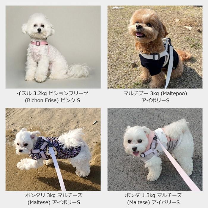 犬 リード ハーネス セット リード付きハーネス 着脱簡単 ワンタッチ 抜けにくい 負担が少ない 洗える かわいい /SPLOOT Y型ハーネス＆1.5mリード グレー |  | 10