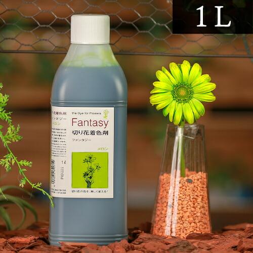 パレス化学 切花着色剤ファンタジー 1L メロン 茎 生花 デコレーション