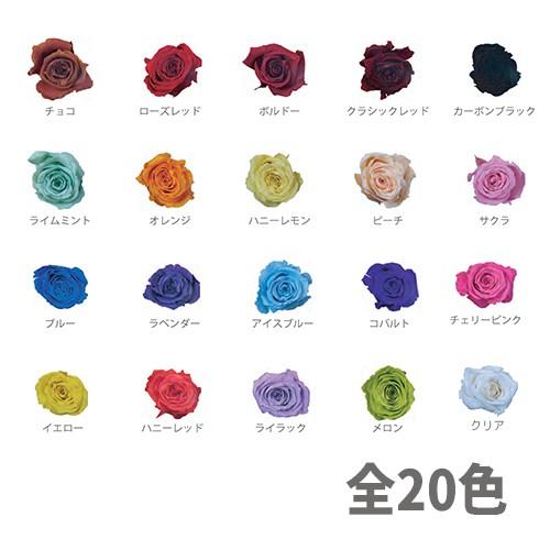 パレス化学 切花用プリザーブド加工液 ミスティー着色液 500ml ボルドー パレス化 Z Kz おしゃれ農作業着専門店エフィルス 通販 Yahoo ショッピング