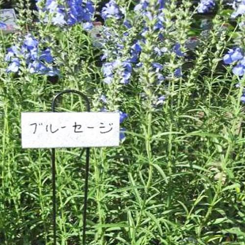 園芸用ラベル F・Pマーカー No.304 6本入 なまえペン No.3091本付