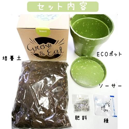 室内 栽培キット grow & eat 栽培セット バジル : おしゃれ農作業着 