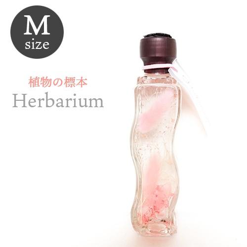 ハーバリウム ウェーブ M ピンク 77333 松村工芸 敬老の日 プレゼント