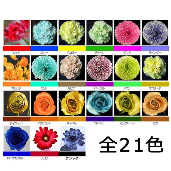 プリザーブドフラワー 加工液 切り花着色 ファンタジー プリザ液 35セット パレス化学 切花着色剤ファンタジー レインボーフラワー制作キット